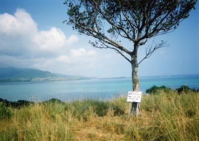 ２００１年 小浜島ちゅらさんロケ隊追っかけの旅 小浜島 沖縄県 の旅行記 ブログ By Emuさん フォートラベル