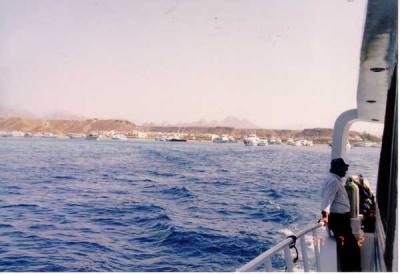 紅海でダイビング シャルム エル シェイク エジプト の旅行記 ブログ By ジャクリンさん フォートラベル