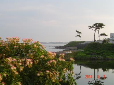 細道探訪 象潟や雨に西施がねぶの花 象潟 にかほ 秋田県 の旅行記 ブログ By あぶくまさん フォートラベル 細道探訪 象潟や雨に西施がねぶの花 象潟 にかほ 秋田県 の旅行記 ブログ By あぶくまさん フォートラベル
