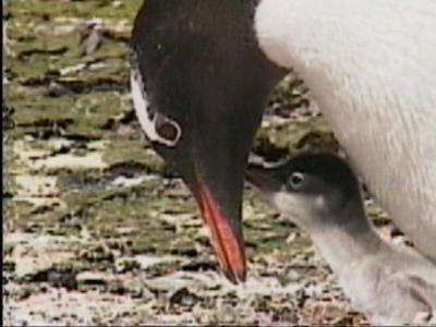 ホテル火事 警報音が鳴ったら直ちに建物の外に出る義務がある プエルト モン チリ の旅行記 ブログ By Spaceglowさん フォートラベル