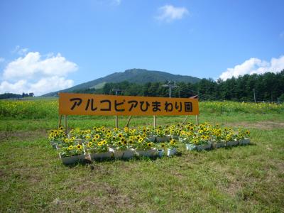 09 恒例 夏の家族旅行 アルコピアひまわり園 飛騨高山 古川 岐阜県 の旅行記 ブログ By こやママさん フォートラベル