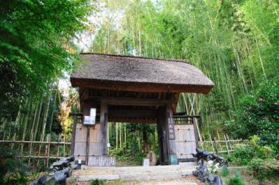 近江の隠れ里 教林坊 間もなく紅葉の見頃 近江八幡 安土 滋賀県 の旅行記 ブログ By Toppyさん フォートラベル 近江の隠れ里 教林坊 間もなく紅葉の見頃 近江八幡 安土 滋賀県 の旅行記 ブログ By Toppyさん フォートラベル