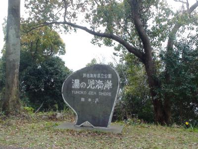 桜100選熊本編 湯の児チェリーライン 水俣 湯の児温泉 熊本県 の旅行記 ブログ By 西プロさん フォートラベル