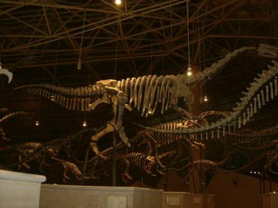 2008 08 九郷　自貢恐竜博物館