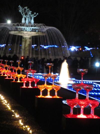 今年もイルミネーション ナイトの昭和記念公園へ 1 シャンパングラス ツリーのカナールからふれあい広場のオブジェまで 立川 東京 の旅行記 ブログ By まみさん フォートラベル