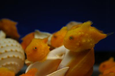 子供とお出かけhokkaido 2 室蘭でリーズナブルに遊ぼう 室蘭 北海道 の旅行記 ブログ By Momoyukiさん フォートラベル 子供とお出かけhokkaido 2 室蘭でリーズナブルに遊ぼう 室蘭 北海道 の旅行記 ブログ By Momoyukiさん フォートラベル