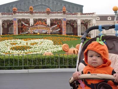 赤ちゃん連れディズニーランド 東京ディズニーリゾート 千葉県 の旅行記 ブログ By Mamaさん フォートラベル