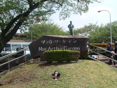 厚木基地 桜祭りに行ってきました 厚木 神奈川県 の旅行記 ブログ By とらいすたあさん フォートラベル