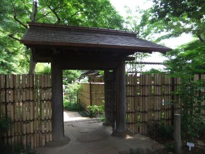 五島美術館の庭散策 東急グループ 二子玉川 東京 の旅行記 ブログ By Rspさん フォートラベル