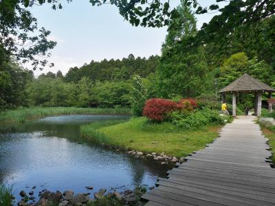 茨城 七ツ洞公園 映画 テルマエ ロマエ ロケ地はイギリス庭園 水戸 茨城県 の旅行記 ブログ By くいたびさん フォートラベル