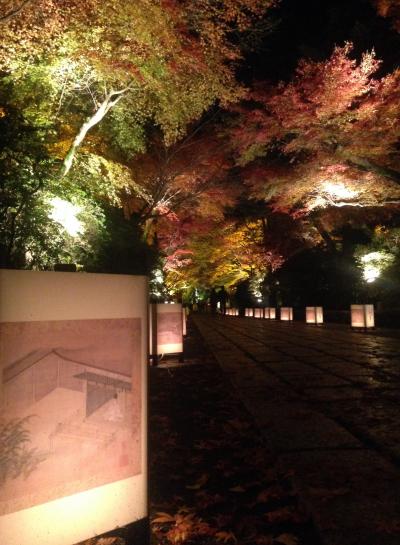 石山寺紅葉ライトアップと琵琶湖沿いのイルミネーション 石山寺周辺 滋賀県 の旅行記 ブログ By 海猿さん フォートラベル