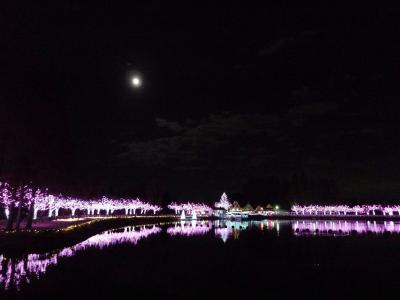 東武動物公園で イルミネーションデートをしましょう 蓮田 白岡 埼玉県 の旅行記 ブログ By かおるるるさん フォートラベル