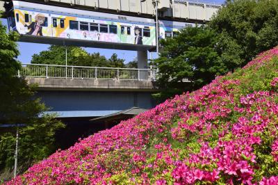 俺ガイルラッピングモノレール を追いかけてつつじの花咲く千葉都市モノレールに訪れてみた 千葉市 千葉県 の旅行記 ブログ By 裏山秀人さん フォートラベル