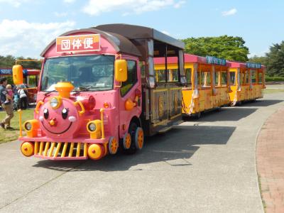 国営ひたち海浜公園をシーサイドトレインに乗って眺める ひたちなか 茨城県 の旅行記 ブログ By タビガラスさん フォートラベル 国営ひたち海浜公園をシーサイドトレインに乗って眺める ひたちなか 茨城県 の旅行記 ブログ By タビガラスさん フォートラベル
