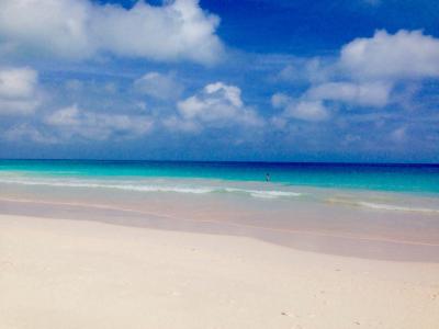 15 ビーチリゾートへ バハマ編 2日目 ピンクサンドビーチに到着 エルーセラ島 バハマ の旅行記 ブログ By Natsuさん フォートラベル