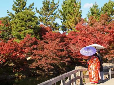 錦を纏う 徳川園紅葉祭 佐野屋で立ち飲み 芳光のとろとろおいしいわらび餅 千種 今池 愛知県 の旅行記 ブログ By ４人目のふーさん フォートラベル