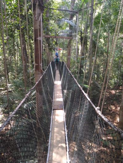 前から行ってみたかったタマンヌガラ国立公園 ついに タマンネガラ マレーシア の旅行記 ブログ By Tsuneさん フォートラベル