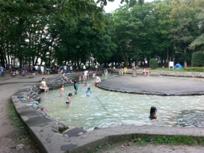 16 08 川越 伊佐沼公園 冒険の森 で水遊び 川越 埼玉県 の旅行記 ブログ By もりおんさん フォートラベル