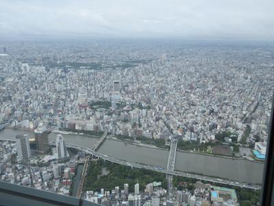 夏休みの社会科見学 Jal機体工場見学と東京スカイツリーへ 羽田 東京 の旅行記 ブログ By しいろんさん フォートラベル