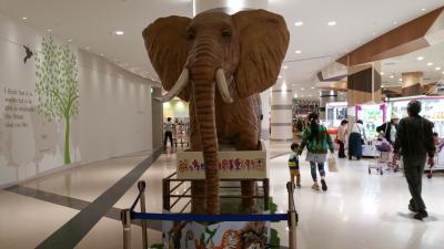 めっちゃさわれる動物園 はめっちゃ面白い 守山 滋賀県 の旅行記 ブログ By ハートネッツさん フォートラベル