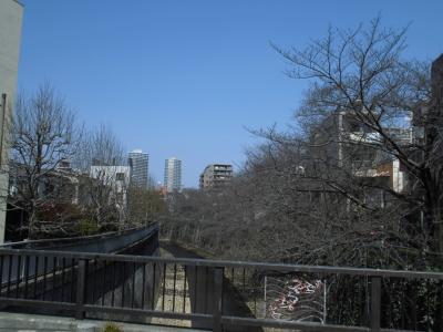 東中野から新宿まで歩いてみた 中野 東京 の旅行記 ブログ By こういちさん フォートラベル