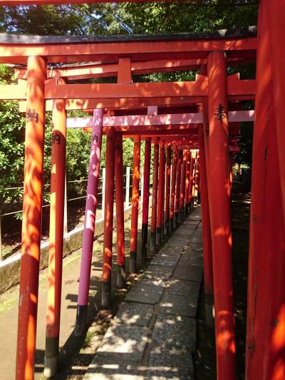 根津神社 乙女稲荷神社の千本鳥居 から駒込までお散歩 日暮里 西日暮里 東京 の旅行記 ブログ By Hibiscusさん フォートラベル