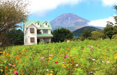 ダリアとコスモスの咲く天空の花畑 裾野 長泉 静岡県 の旅行記 ブログ By Oakatさん フォートラベル