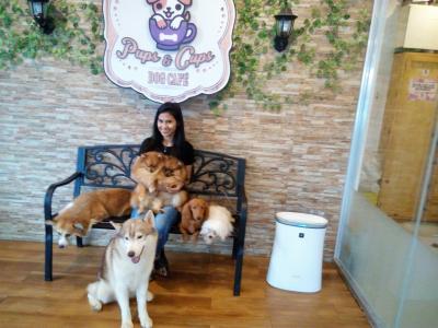 Dog Cafe に行ってきました マニラ フィリピン の旅行記 ブログ By Jmb Srさん フォートラベル