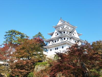 いざ出陣 郡上八幡紅葉狩り 郡上八幡 岐阜県 の旅行記 ブログ By ゆちゃきちさん フォートラベル