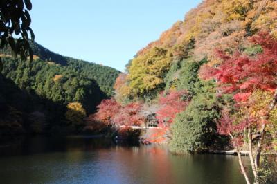鎌北湖の紅葉 狭山 入間 埼玉県 の旅行記 ブログ By アトムさん フォートラベル 鎌北湖の紅葉 狭山 入間 埼玉県 の旅行記 ブログ By アトムさん フォートラベル