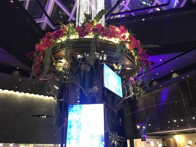 17クリスマスディナー 品川プリンスホテル リュクスダイニング ハプナ 品川 東京 の旅行記 ブログ By くりくりんさん フォートラベル 17クリスマスディナー 品川プリンスホテル リュクスダイニング ハプナ 品川 東京 の旅行記 ブログ By くりくりんさん フォートラベル
