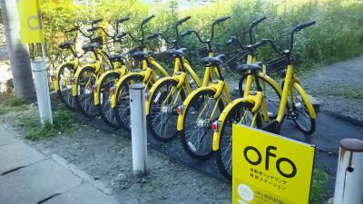 ofo travel