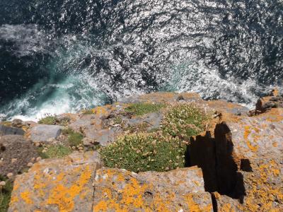 アラン諸島に行ってみた アラン諸島 アイルランド の旅行記 ブログ By ぽちゃりんさん フォートラベル アラン諸島に行ってみた アラン諸島 アイルランド の旅行記 ブログ By ぽちゃりんさん フォートラベル