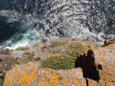 アラン諸島に行ってみた アラン諸島 アイルランド の旅行記 ブログ By ぽちゃりんさん フォートラベル