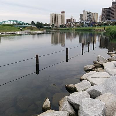 ぶらりハゼ釣り 旧中川へ その後居酒屋ゆうこさんに行きました 東京の旅行記 ブログ By イサパさん フォートラベル