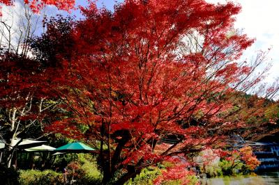 由布院の紅葉 2018 湯布院 由布院温泉 大分県 の旅行記 ブログ By 気まぐれなデジカメ館さん フォートラベル