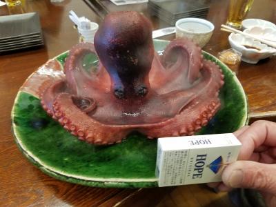 12人のおっさんたち タコ食べに行くぞォ I N 日間賀島 篠島 日間賀島 佐久島 愛知県 の旅行記 ブログ By 多良さん フォートラベル 12人のおっさんたち タコ食べに行くぞォ I N 日間賀島 篠島 日間賀島 佐久島 愛知県 の旅行記 ブログ By 多良さん フォートラベル