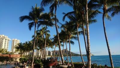 子連れでハワイ 2019 Vol 1 オアフ島 ハワイ の旅行記 ブログ By Yanminさん フォートラベル