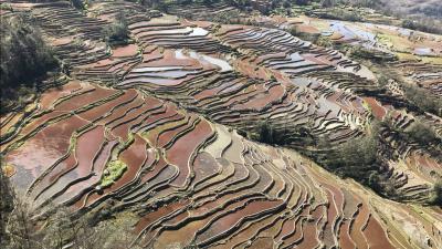 天津駐在オヤジの雲南省ひとり旅 その2 元陽編 元陽 中国 の旅行記 ブログ By しょうぐうさん フォートラベル