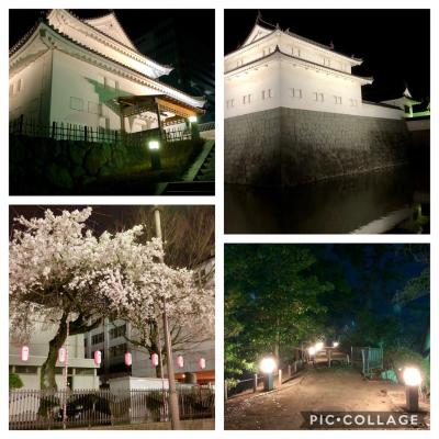 夜の静岡ぶらり 夜の駿府城 桜はまだかいな