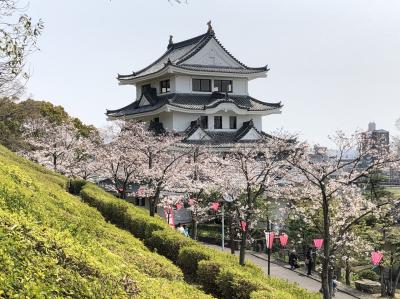 名鉄ハイキング 尾張旭 城山公園さくらまつり に参加 尾張旭 日進 愛知県 の旅行記 ブログ By Keinyan0718さん フォートラベル