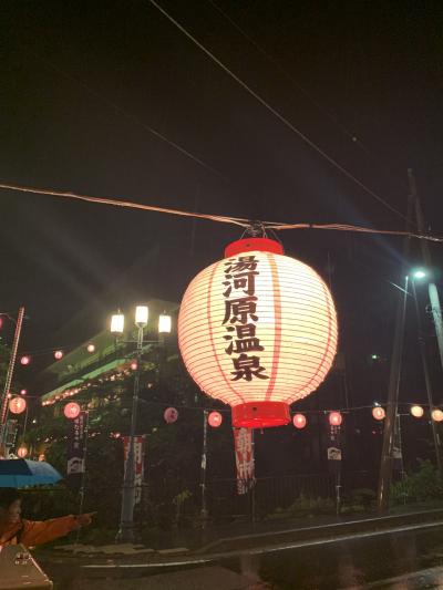 湯河原温泉 万葉公園の蛍の宴19 湯河原温泉 神奈川県 の旅行記 ブログ By ひつじさん フォートラベル