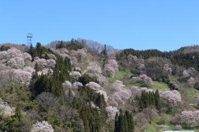 日本で最も美しい村 小川村 二反田の桜を見に行ってみました 帰りに妙義山さくらの里も 戸隠 鬼無里 長野県 の旅行記 ブログ By 天空の城さん フォートラベル