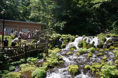 19 8月夏 羊蹄山を臨む夏のニセコと京極子連れ旅行記 マイナスイオン溢れる ふきだし公園 とうどんが美味しい 野々傘 へ 真狩 京極 北海道 の旅行記 ブログ By ます子さん フォートラベル