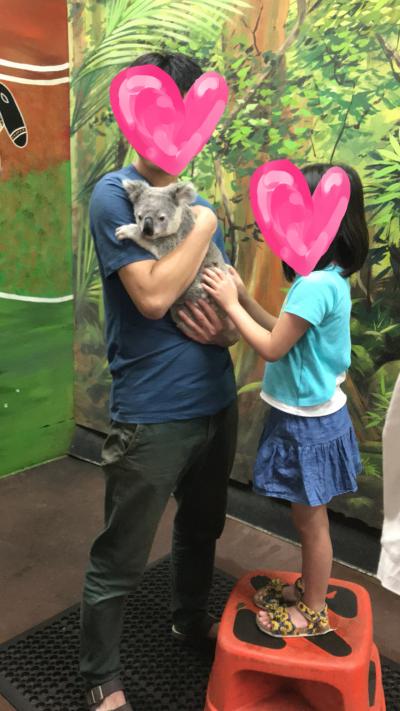 子連れ 6歳 でgo ゴールドコーストでコアラを抱っこ ゴールドコースト オーストラリア の旅行記 ブログ By Koumeさん フォートラベル