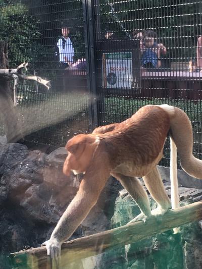 珍しい動物いっぱい 横浜ズーラシア動物園へ 神奈川県の旅行記 ブログ By ぐりぐらさん フォートラベル 珍しい動物いっぱい 横浜ズーラシア動物園へ 神奈川県の旅行記 ブログ By ぐりぐらさん フォートラベル