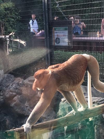 珍しい動物いっぱい 横浜ズーラシア動物園へ 神奈川県の旅行記 ブログ By ぐりぐらさん フォートラベル