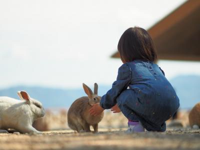 瀬戸内の楽園 家族でうさぎ島へ 竹原 広島県 の旅行記 ブログ By みささん フォートラベル 瀬戸内の楽園 家族でうさぎ島へ 竹原 広島県 の旅行記 ブログ By みささん フォートラベル
