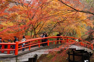 週末湯旅 伊香保の紅葉と黄金の湯 伊香保温泉 群馬県 の旅行記 ブログ By 旅猫さん フォートラベル