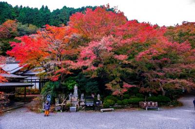 両子寺の紅葉 19 国東 くにさき 姫島 大分県 の旅行記 ブログ By 気まぐれなデジカメ館さん フォートラベル